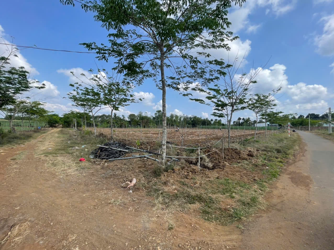 Bất động sản LL01